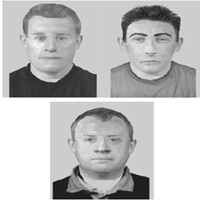 Attempted atm theft at Tinahely, Wicklow on the 1/5/11